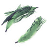 Coque Feather Bunch - Natural Markings
