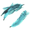 Coque Feather Bunch - Natural Markings