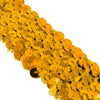 4-Row Sequin Stretch Trim