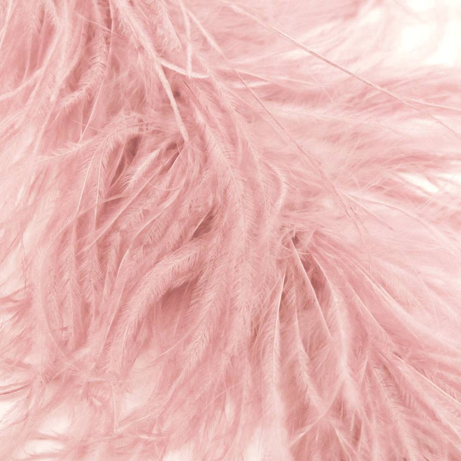 Ostrich & Marabou Feather Boa Trim