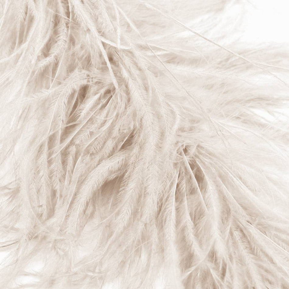 Ostrich & Marabou Feather Boa Trim