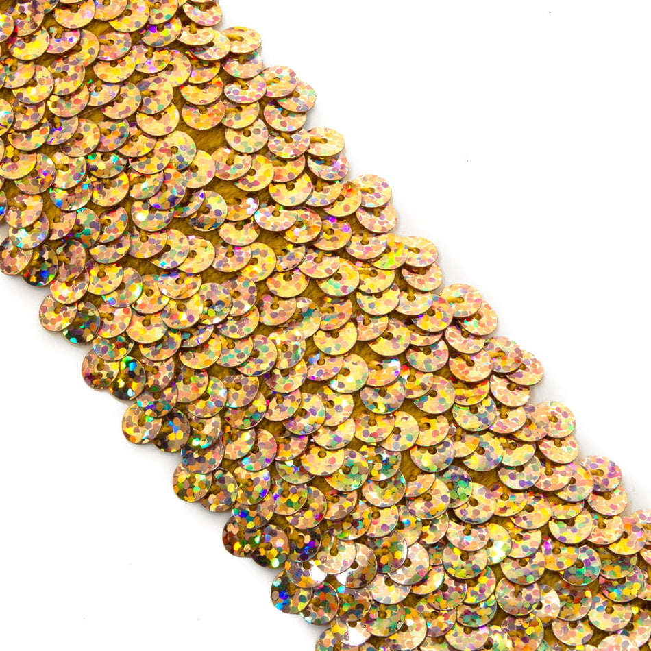 6-Row Stretch Sequin Trim