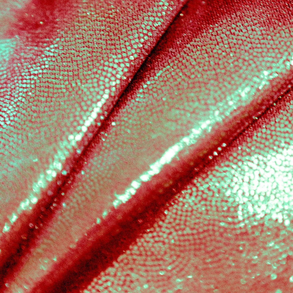 Foil/Fog Finish Nylon Spandex