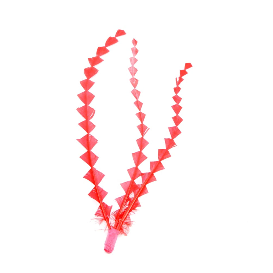 Stripped Coque Feather Bunch - Diamond Train
