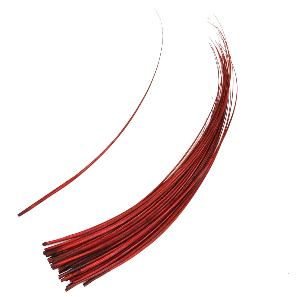 Ostrich Feather Quill Spine