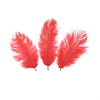 Ostrich Feather Plume 15-20cm (3 Pack)