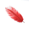 Ostrich Feather Plume 30-40cm