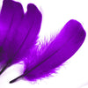 Goose Nagoire Feather (24 Pack)