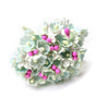 Forget-Me-Not Flower Bunch