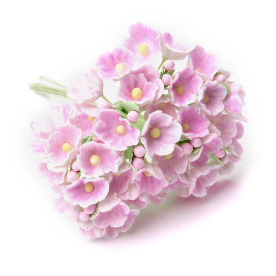 Forget-Me-Not Flower Bunch