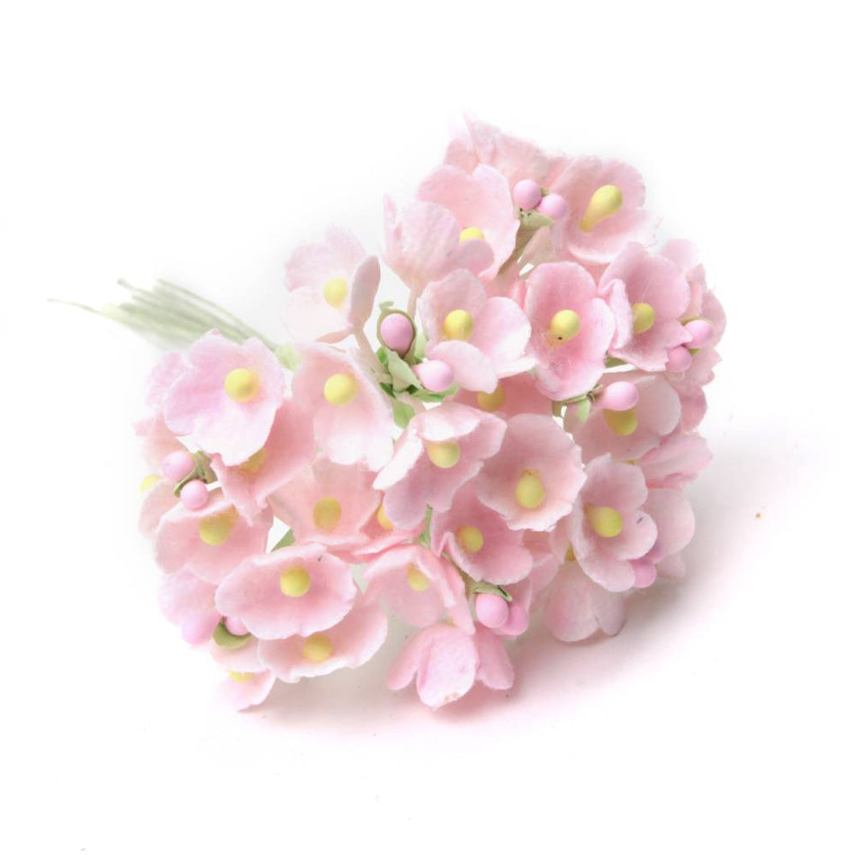 Forget-Me-Not Flower Bunch