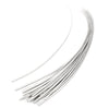 Ostrich Feather Quill Spine