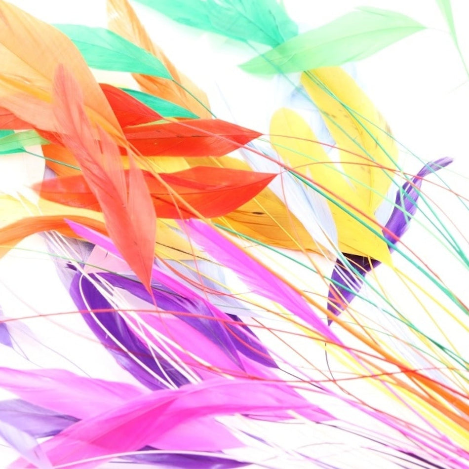 Stripped Coque Feather Bunch