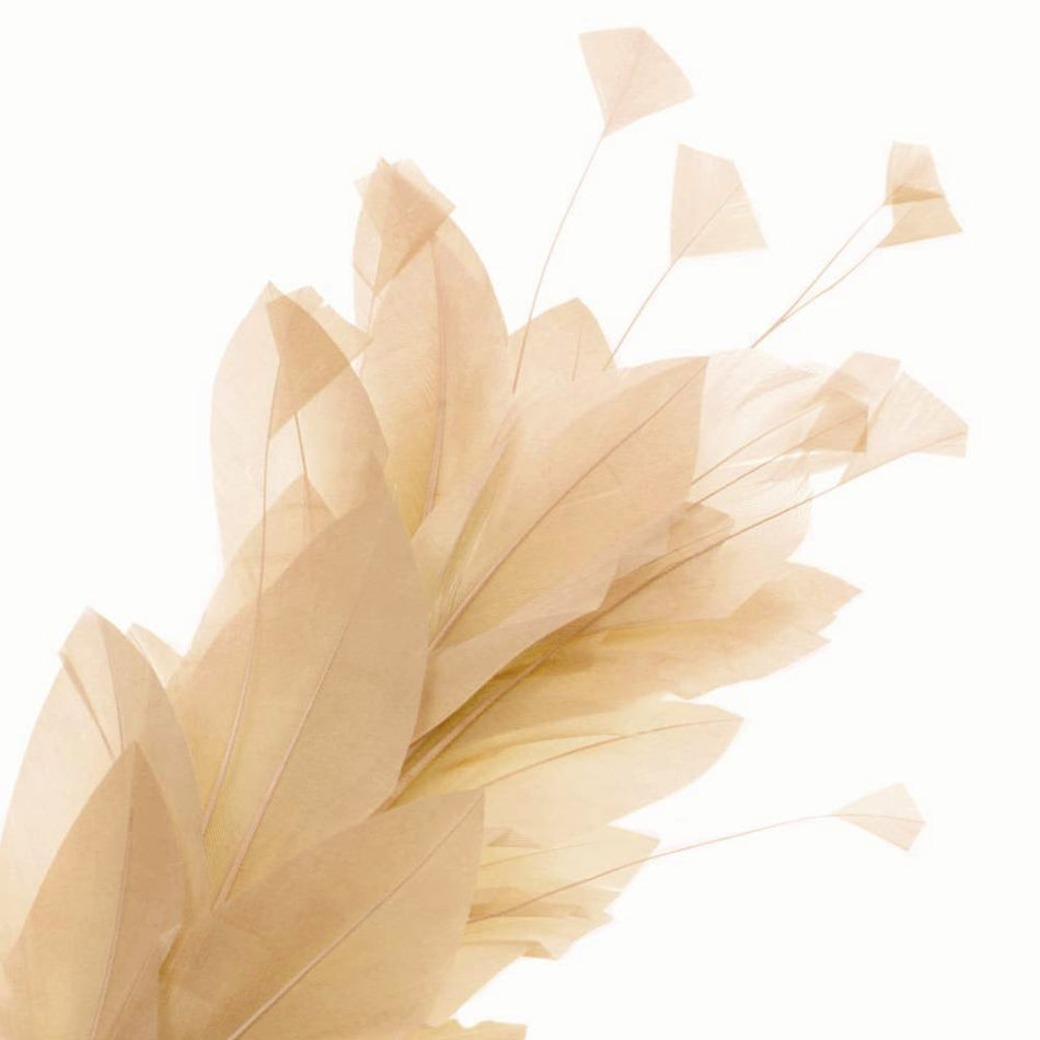 Feather Wire Mount - Goose & Stripped Coque Spray
