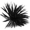 Flower Feather Spiky Biot Thistle