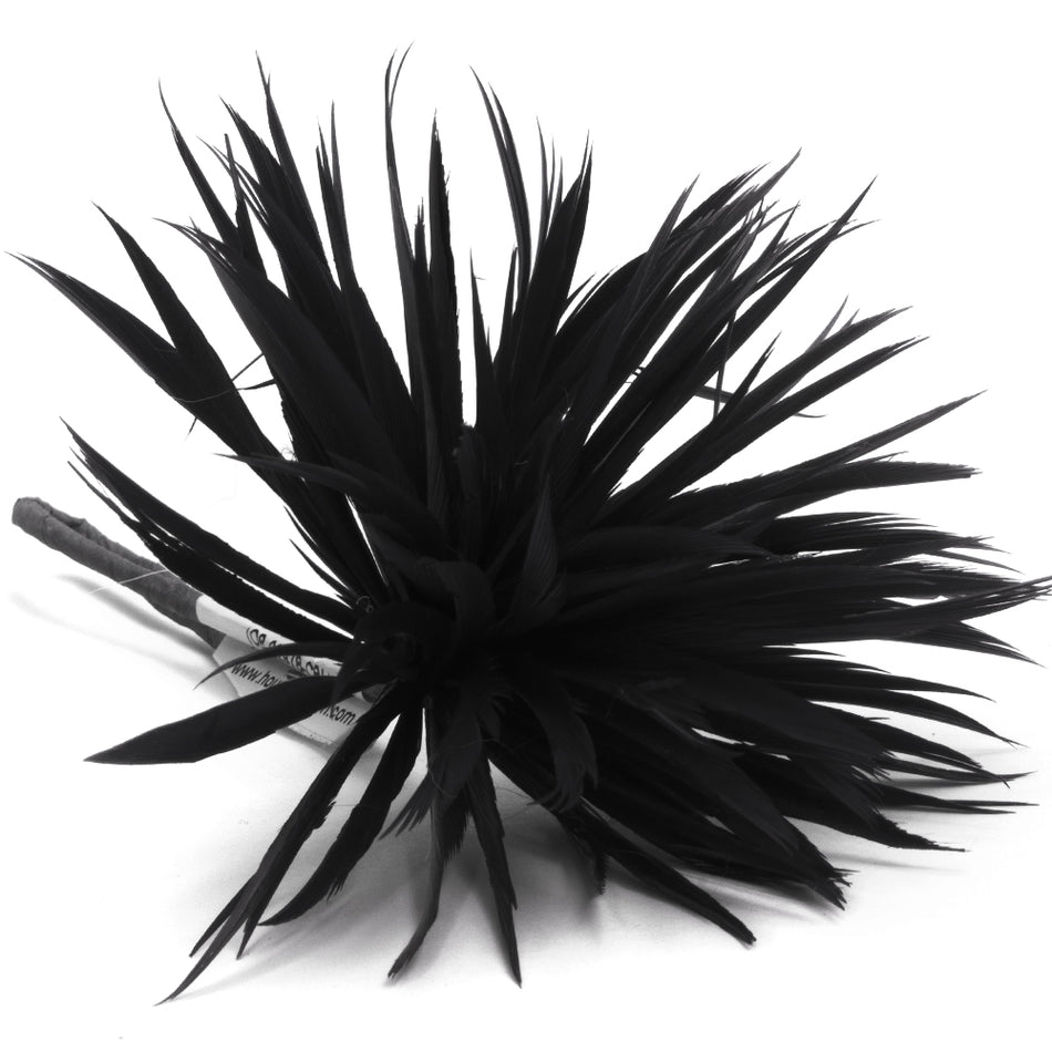 Flower Feather Spiky Biot Thistle