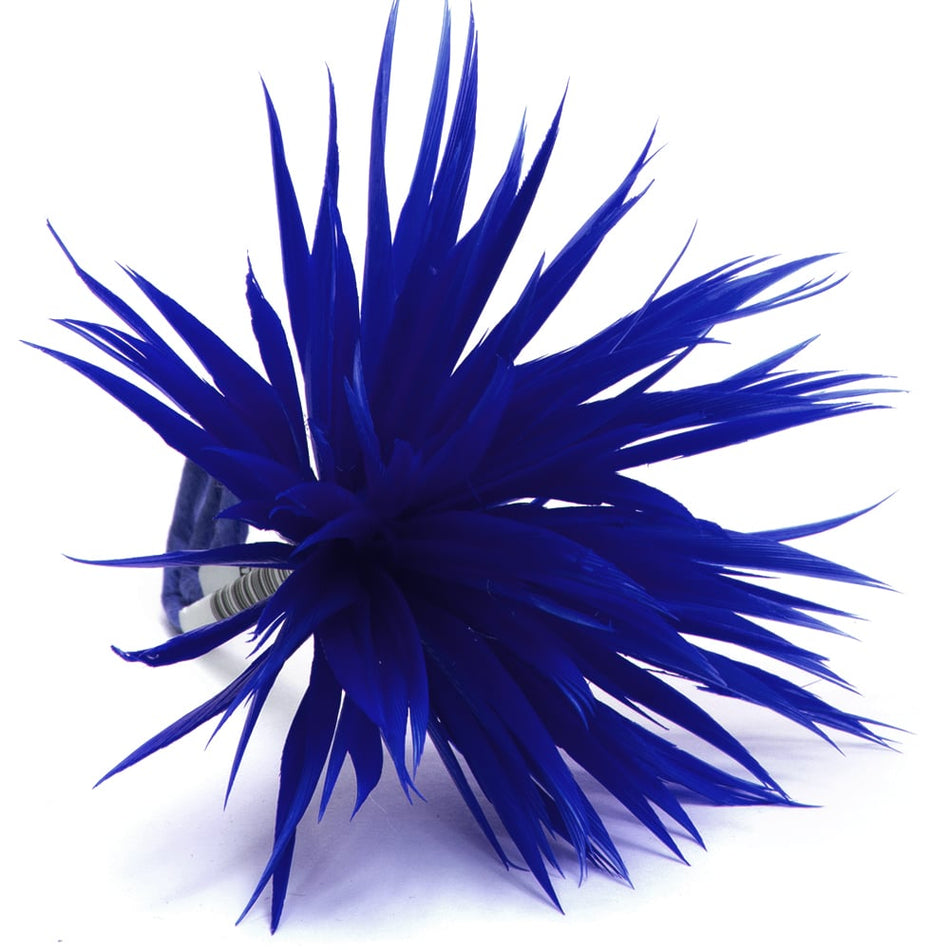 Flower Feather Spiky Biot Thistle