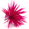 Flower Feather Spiky Biot Thistle