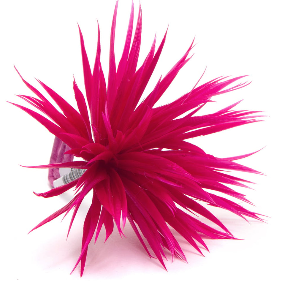 Flower Feather Spiky Biot Thistle