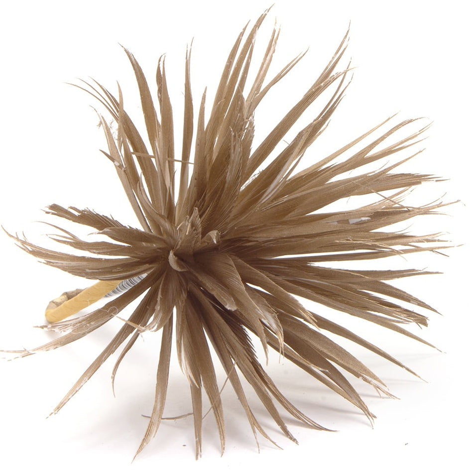 Flower Feather Spiky Biot Thistle