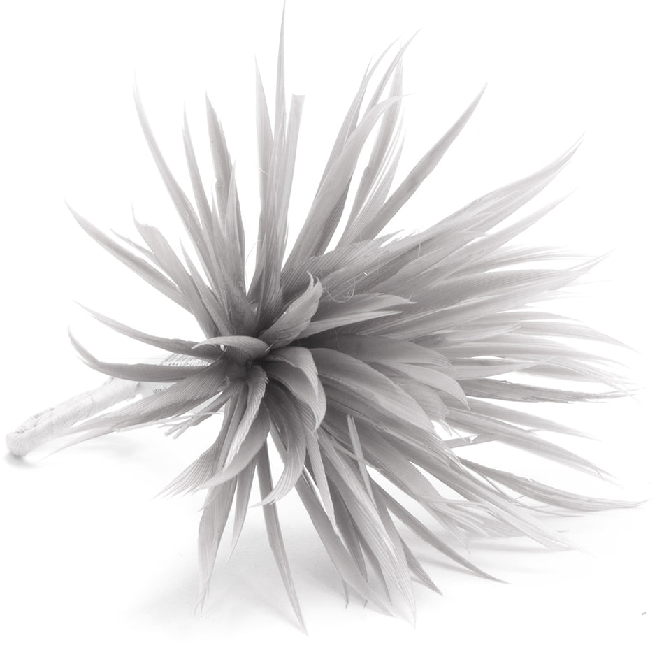 Flower Feather Spiky Biot Thistle