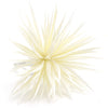 Flower Feather Spiky Biot Thistle