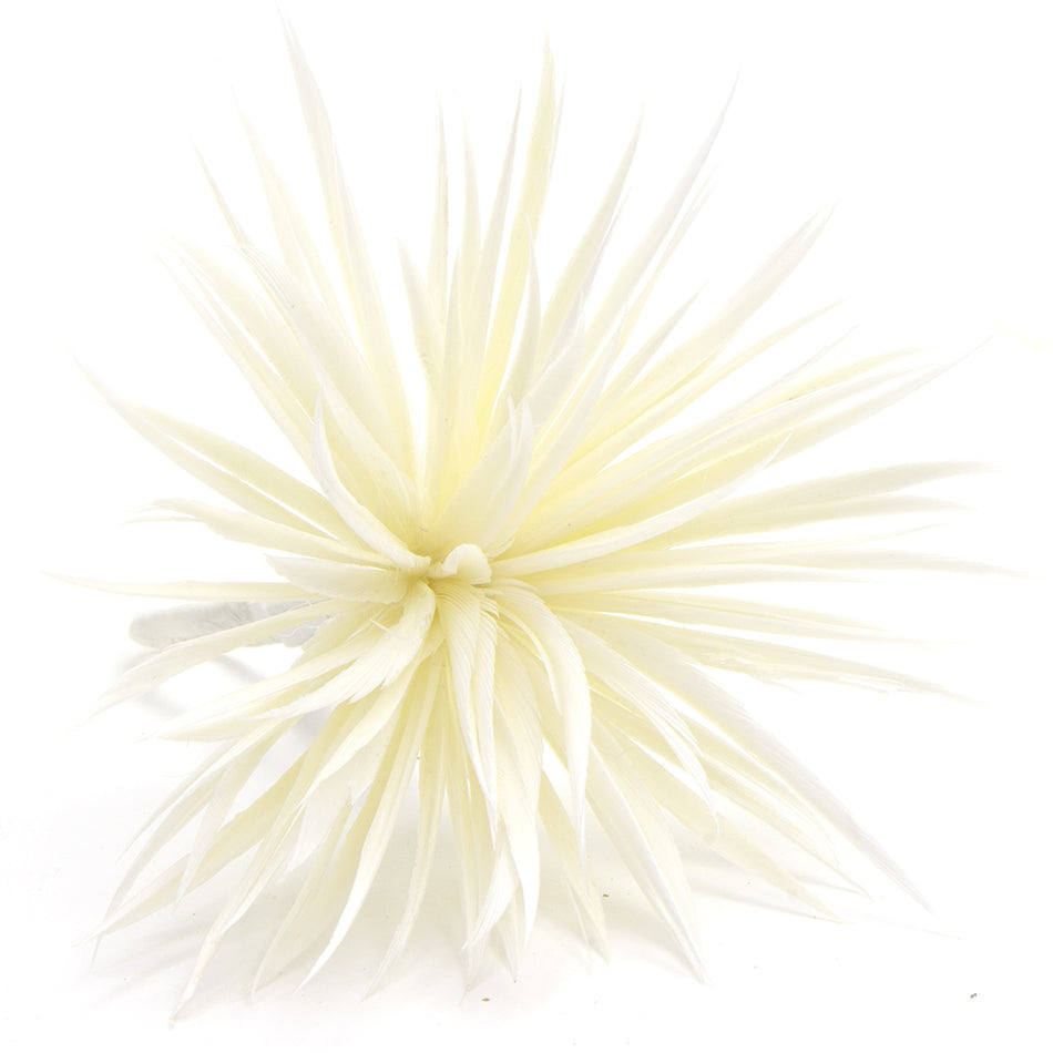 Flower Feather Spiky Biot Thistle
