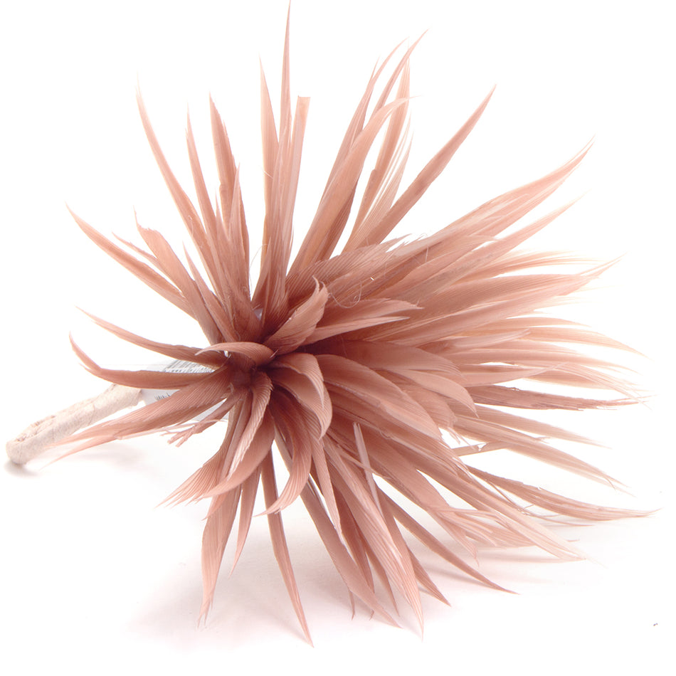 Flower Feather Spiky Biot Thistle