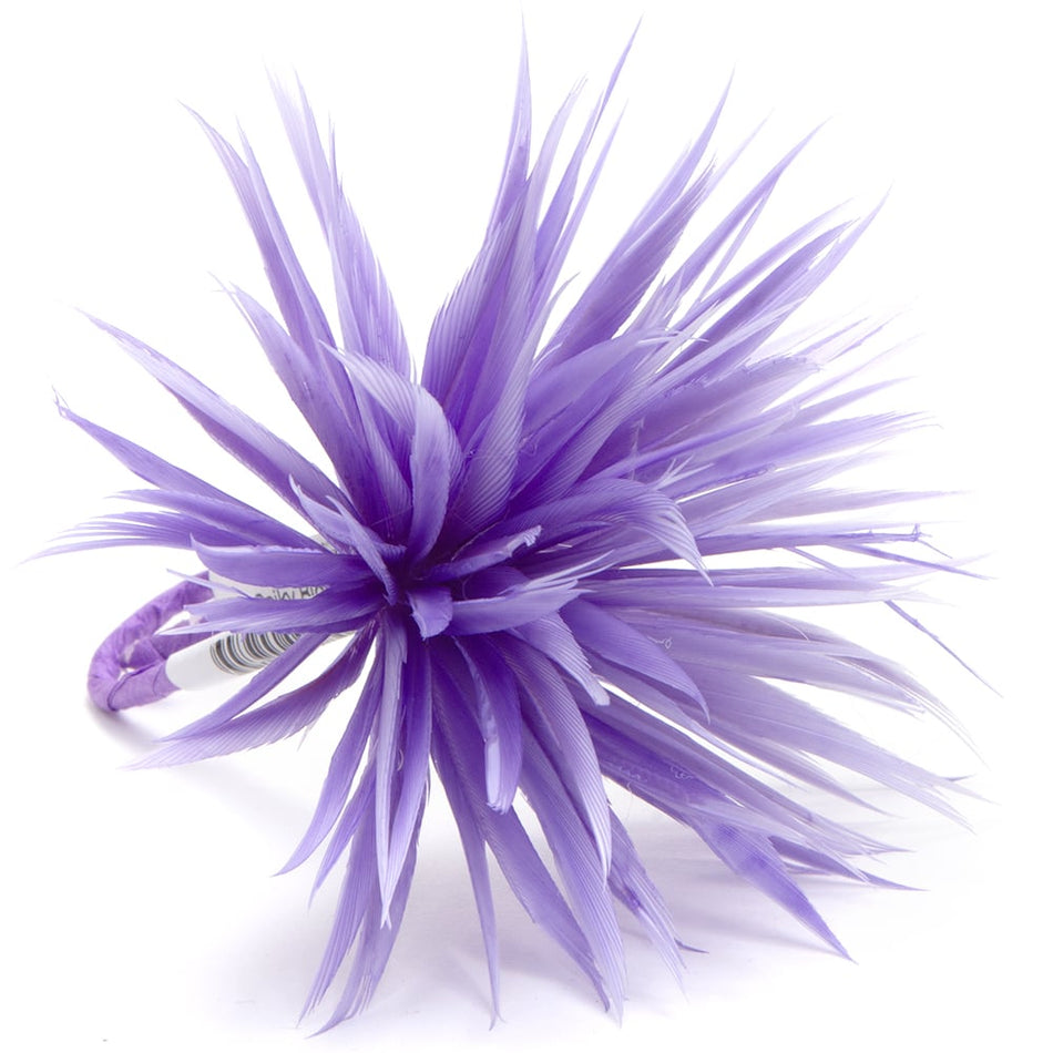 Flower Feather Spiky Biot Thistle