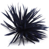 Flower Feather Spiky Biot Thistle