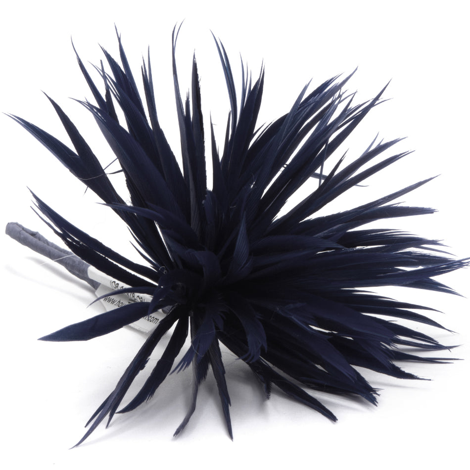 Flower Feather Spiky Biot Thistle