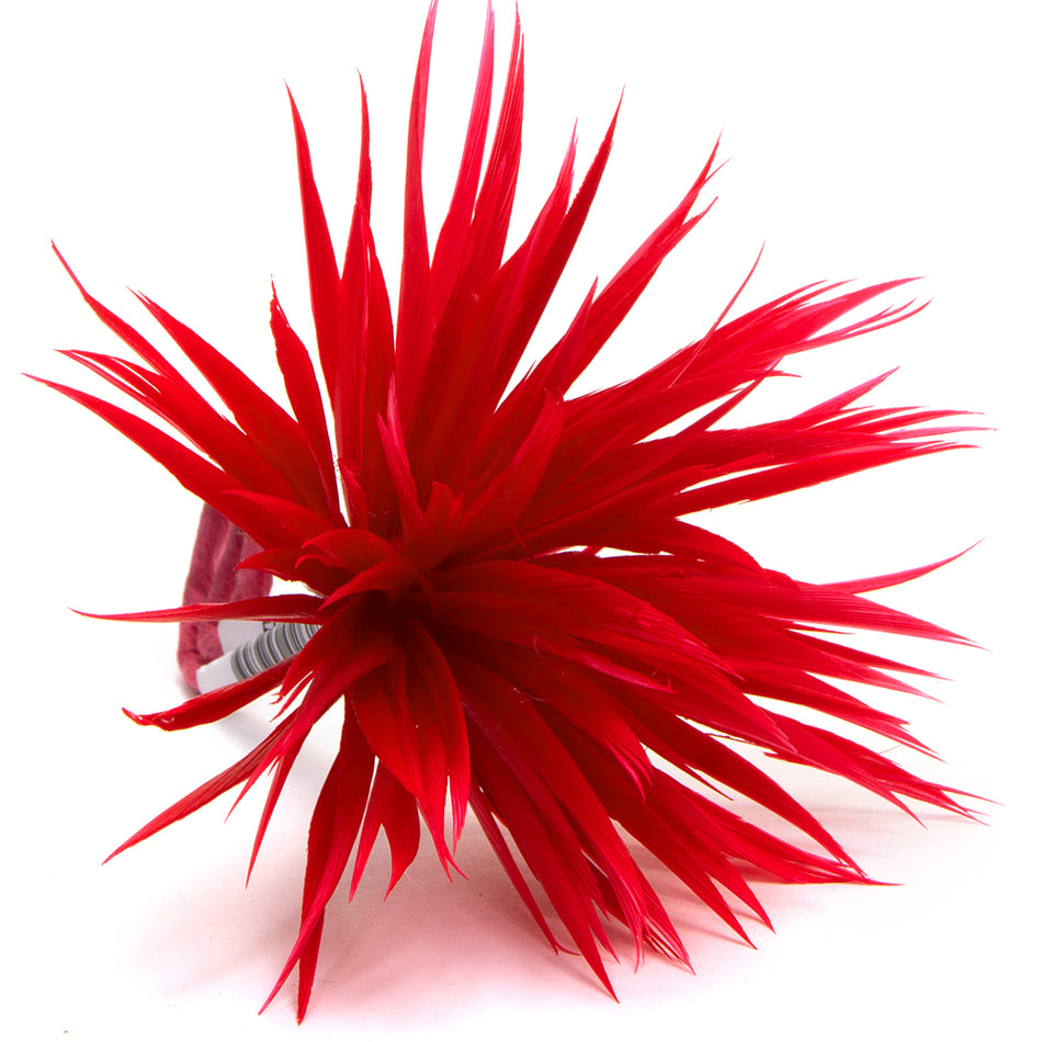 Flower Feather Spiky Biot Thistle