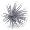 Flower Feather Spiky Biot Thistle