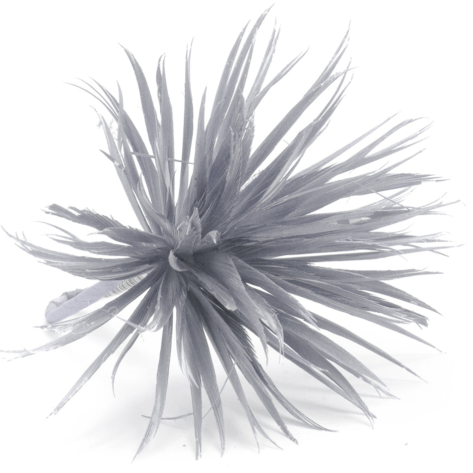 Flower Feather Spiky Biot Thistle