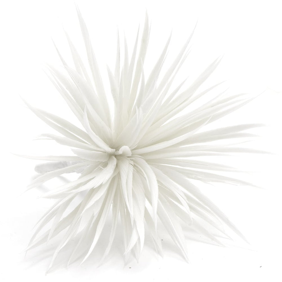 Flower Feather Spiky Biot Thistle
