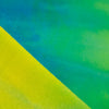 Tie-Dye Shiny Finish Nylon Spandex