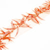 Spikey Tiger Tooth Sequin Organza Trim