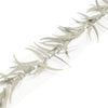 Spikey Tiger Tooth Sequin Organza Trim