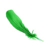 Turkey Feather - Quill