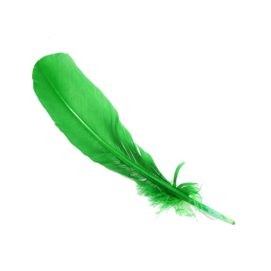 Turkey Feather - Quill
