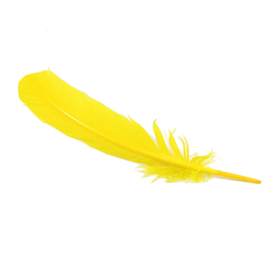 Turkey Feather - Quill