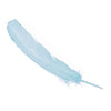Turkey Feather - Quill