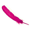 Turkey Feather - Quill