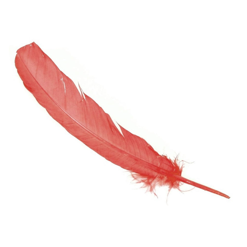 Turkey Feather - Quill