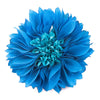 Flower Aster Bloom