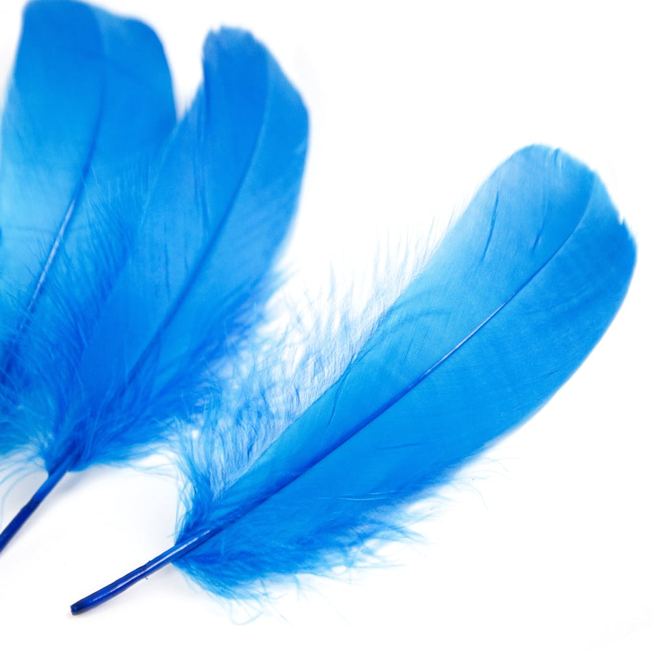 Goose Nagoire Feather (24 Pack)