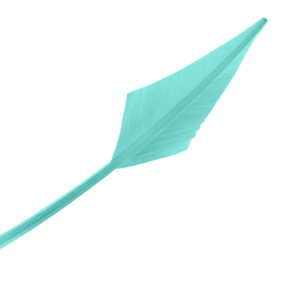 Turkey Feather Arrowhead