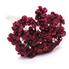 Forget-Me-Not Flower Bunch
