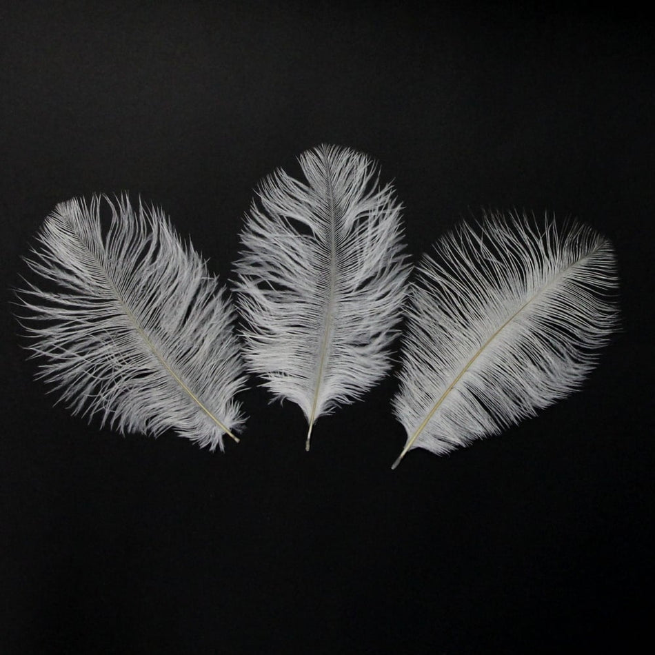 Ostrich Feather Plume 15-20cm (3 Pack)