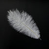 Ostrich Feather Plume 30-40cm